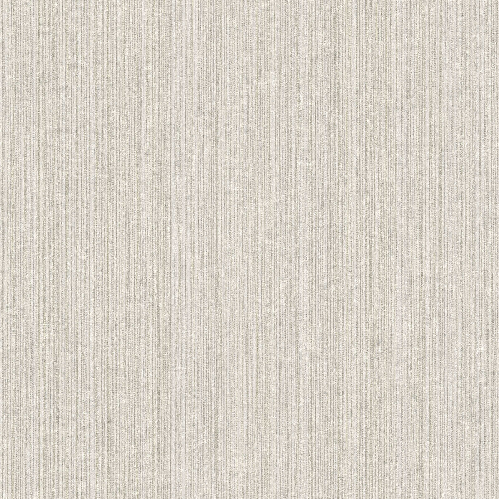 The Bos - Fine Line bold wallpaper AS Creation Roll Light Grey  388193