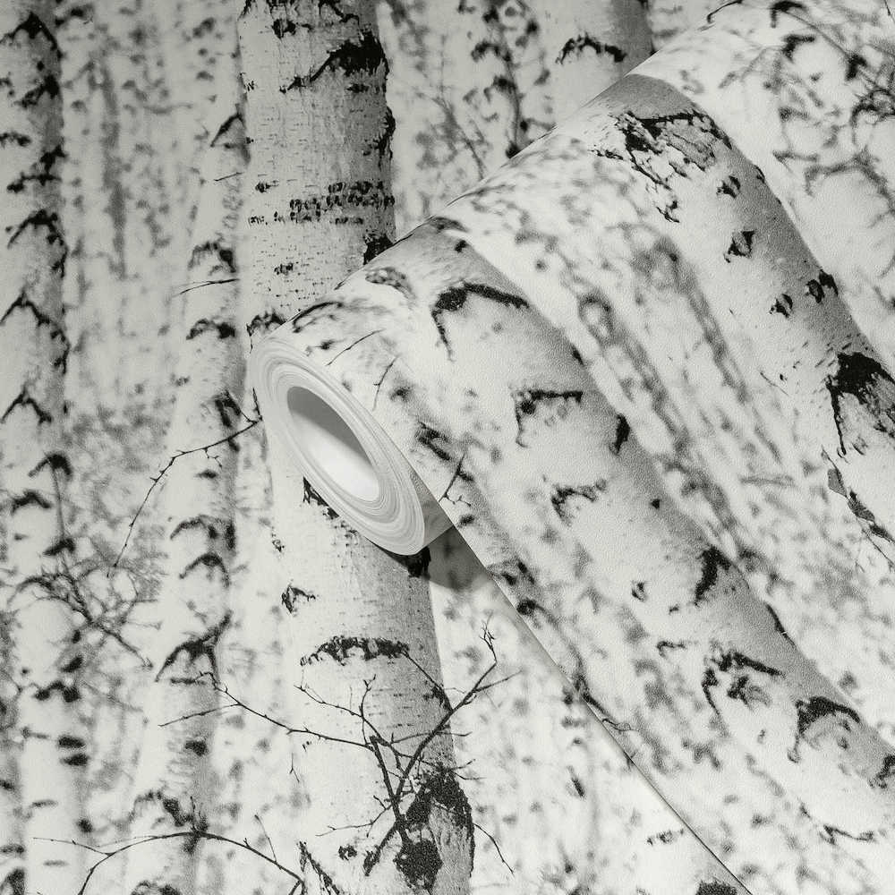 Pint Walls - Birch Trees botanical wallpaper AS Creation    