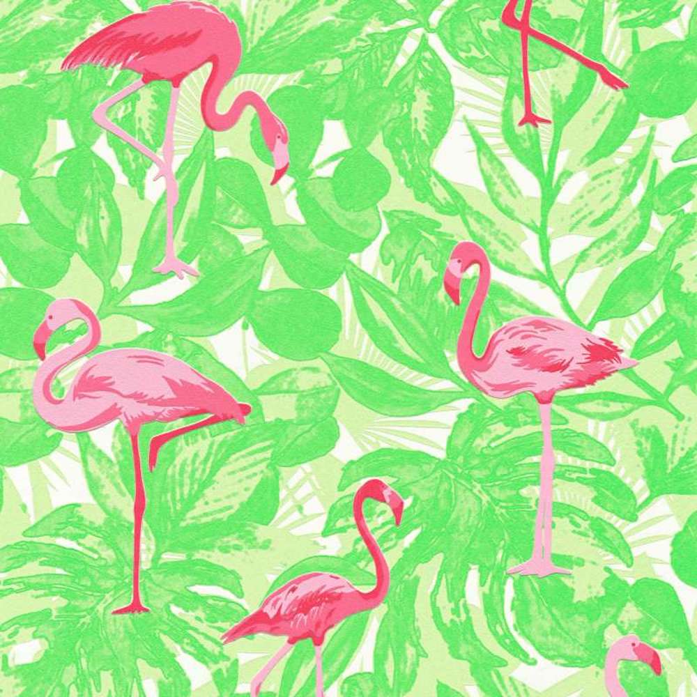 Club Tropicana - Fancy Flamingo botanical wallpaper AS Creation Roll Light Green  359802