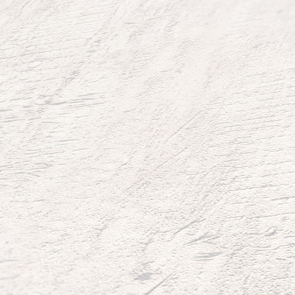 Industrial Elements - Concrete Wood Grain industrial wallpaper AS Creation    