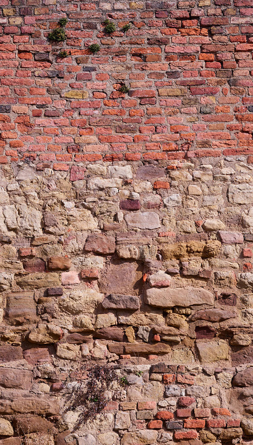 The Wall 2 - Old Brick Wall smart walls AS Creation Default Title   392461