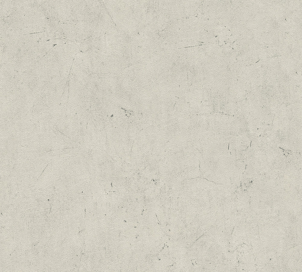 Industrial Elements - Artisanal Concrete plain wallpaper AS Creation Roll Taupe  952591