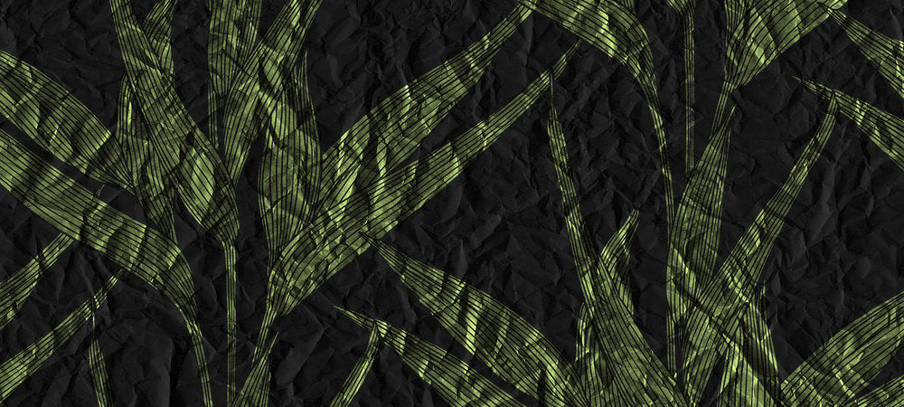 Atelier 47 - Paper Leaves digital print AS Creation Green   117140