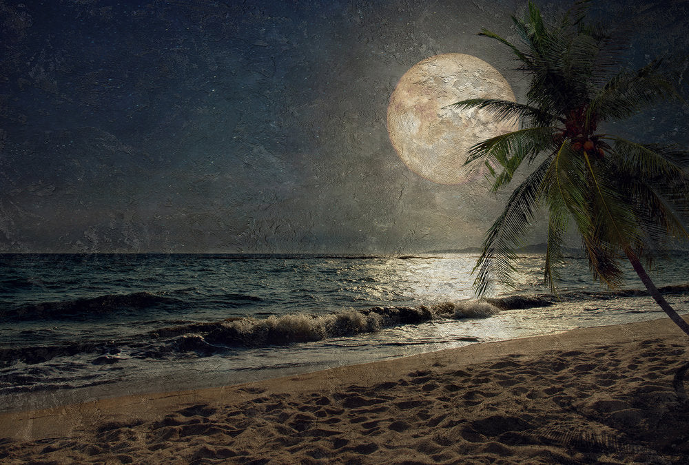 Atelier 47 - Beach Night digital print AS Creation Multicolour   117605