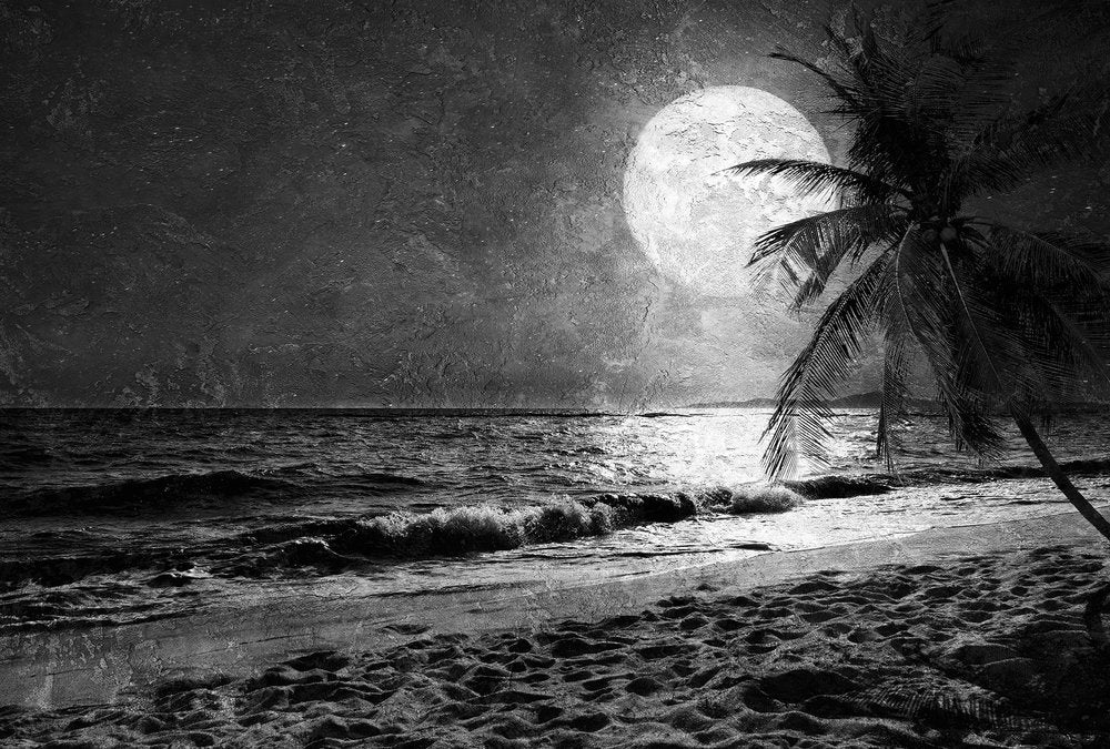Atelier 47 - Beach Night digital print AS Creation Grey   117610