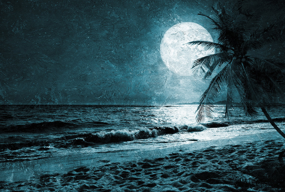 Atelier 47 - Beach Night digital print AS Creation Blue   117615