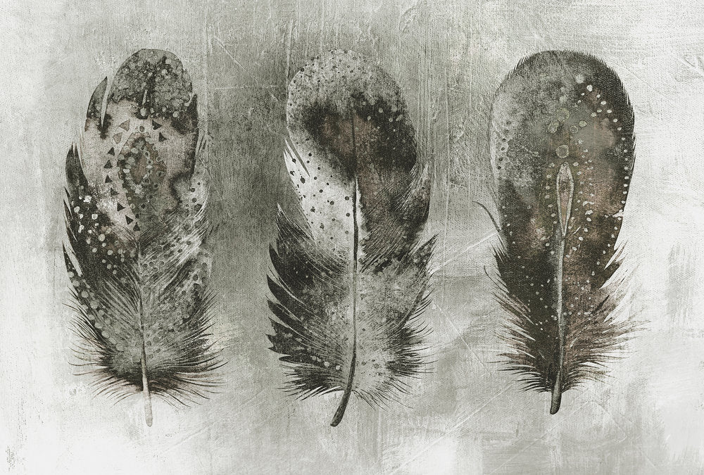 Atelier 47 - Motley Feather digital print AS Creation Grey   117630