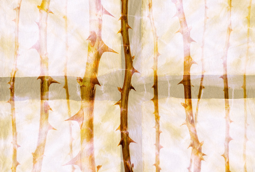 Atelier 47 - Thorn Art digital print AS Creation Orange   117850