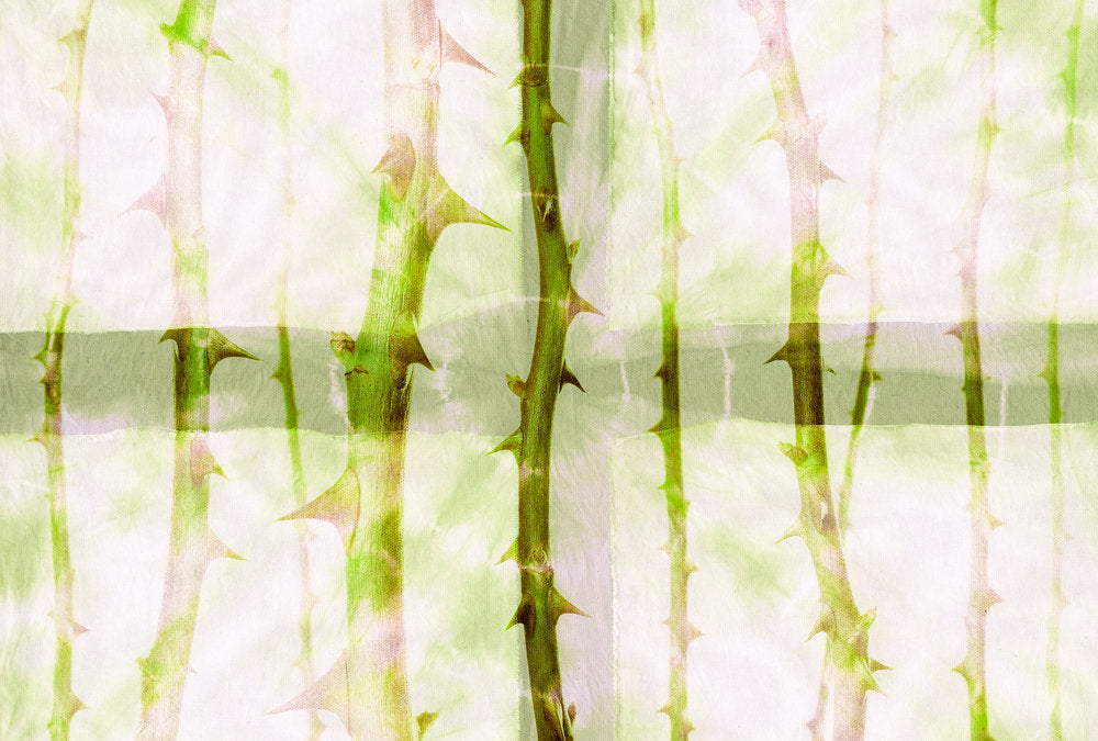 Atelier 47 - Thorn Art digital print AS Creation Green   117855