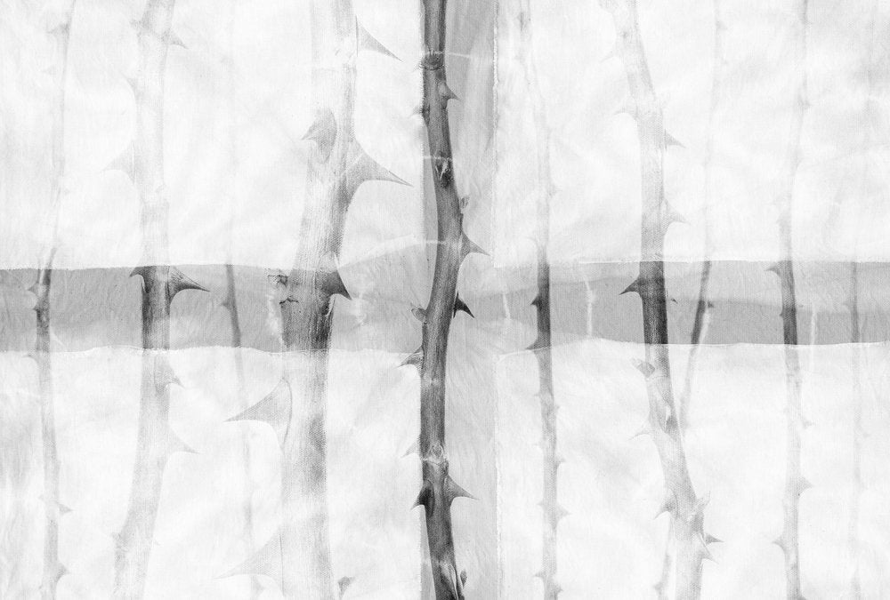Atelier 47 - Thorn Art digital print AS Creation Grey   117860