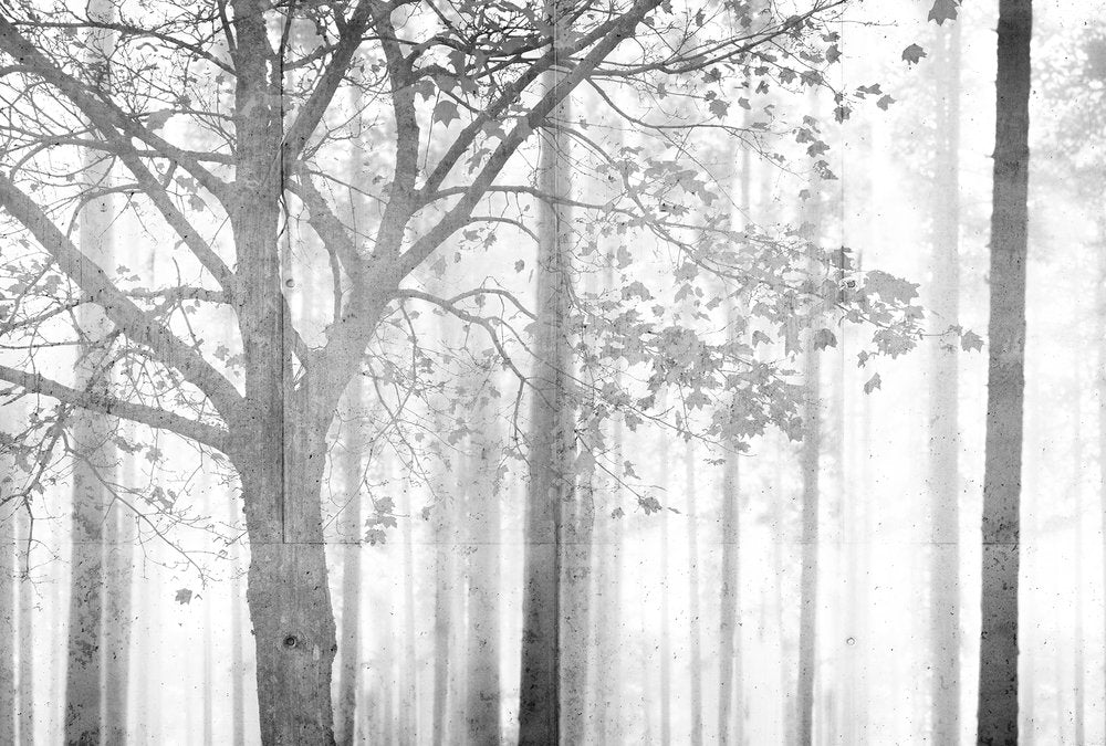 Atelier 47 - Edge digital print AS Creation Grey   117945