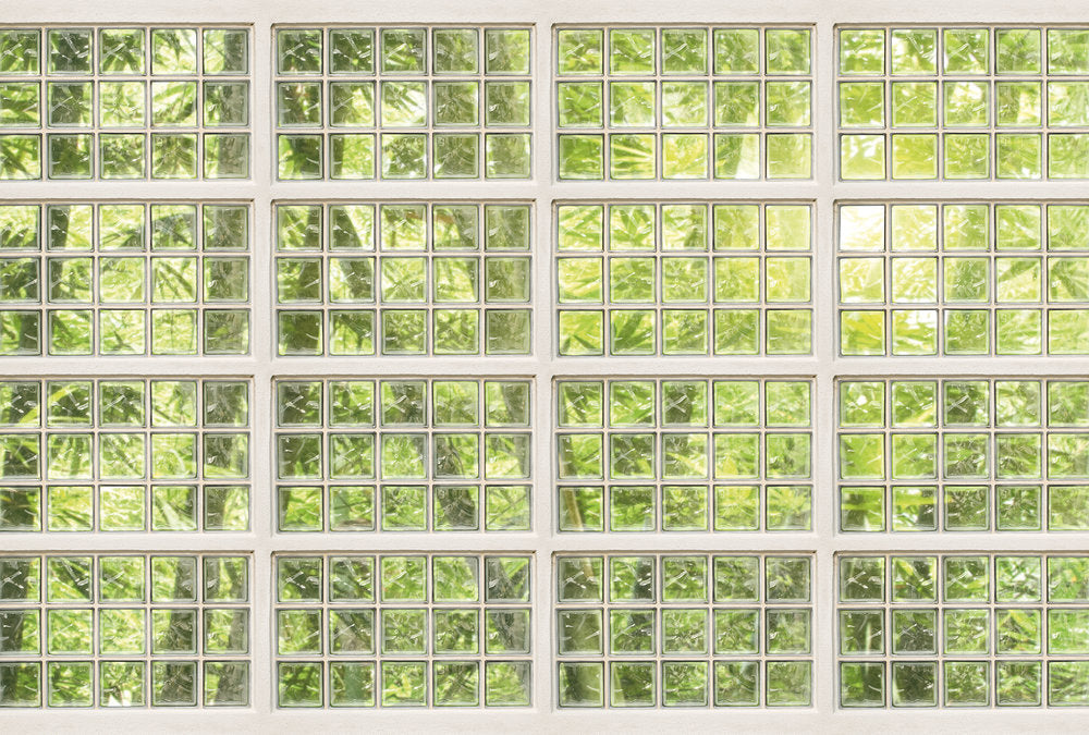 Atelier 47 - Coniferous Artwork digital print AS Creation Green   117955