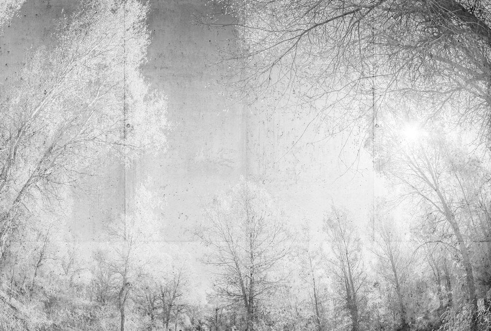 Atelier 47 - Forest Glade digital print AS Creation White   118020