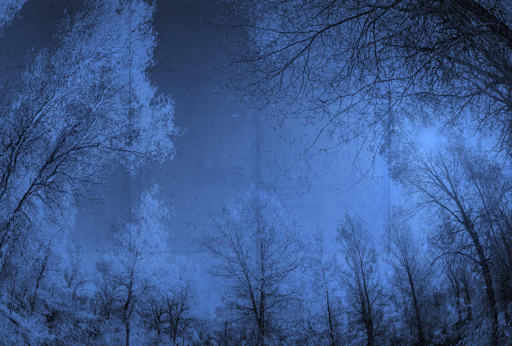 Atelier 47 - Forest Glade digital print AS Creation Blue   118025