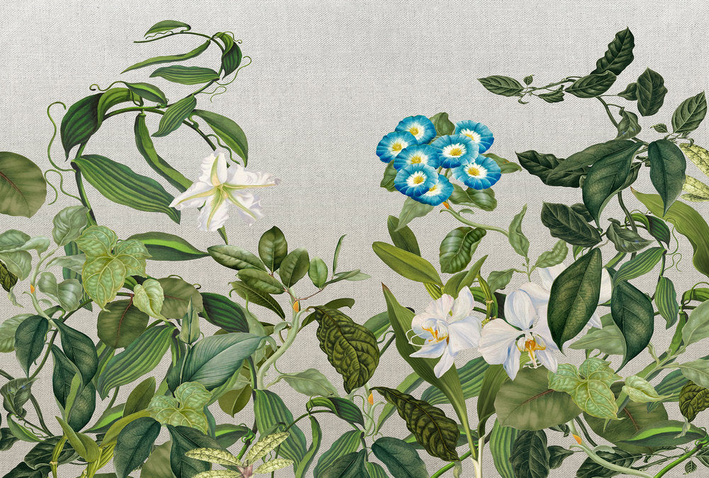 Atelier 47 - Botanic Sketch digital print AS Creation Green   118075