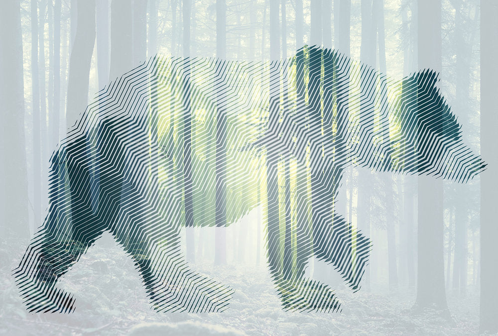 Atelier 47 - Bear Forest digital print AS Creation Green   118110