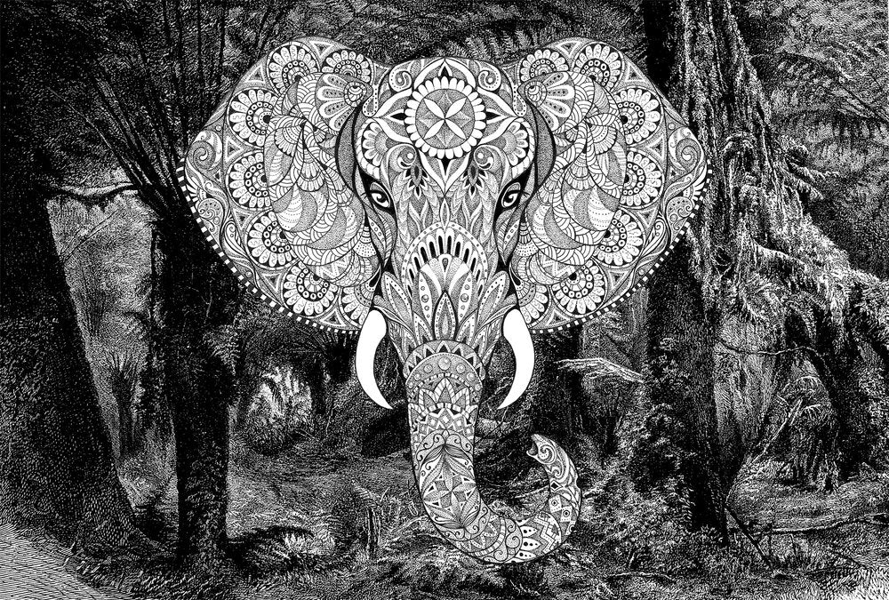 Atelier 47 - Elephant Head digital print AS Creation Black   118120