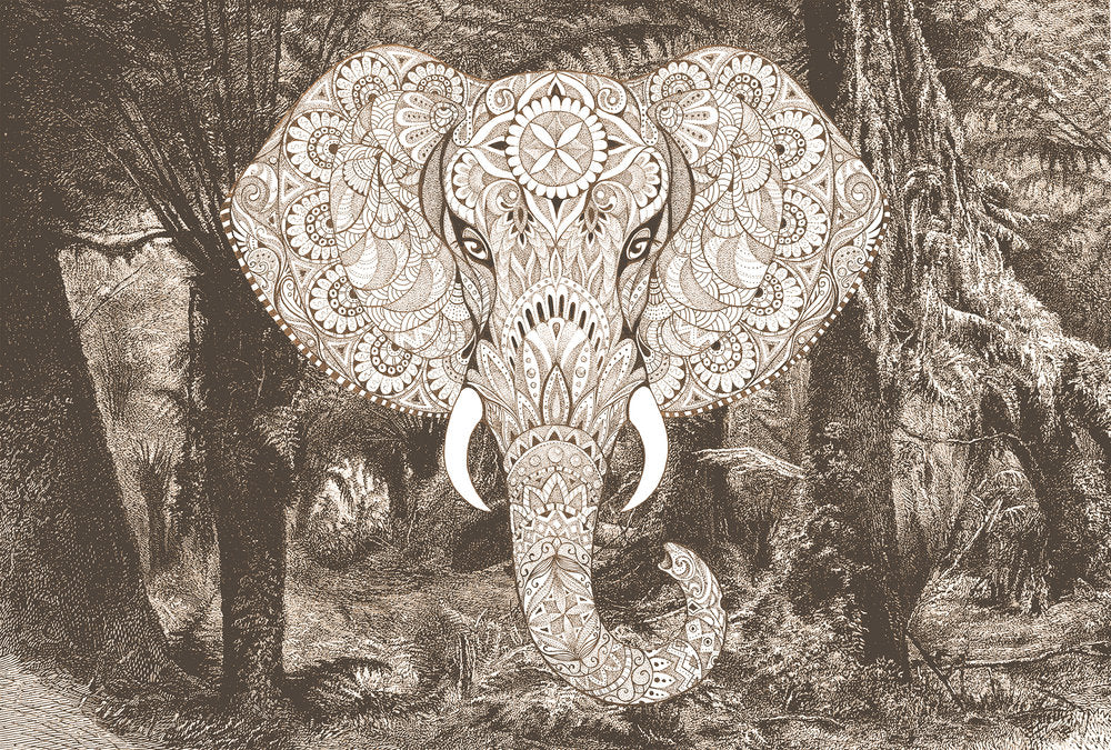 Atelier 47 - Elephant Head digital print AS Creation Brown   118125