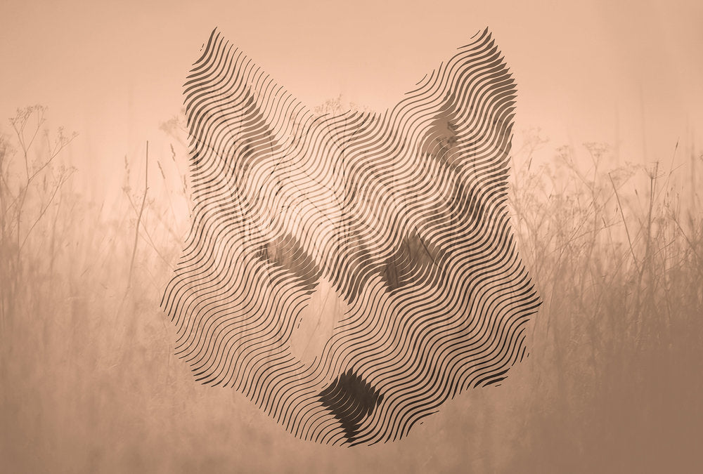 Atelier 47 - Fox Graphic digital print AS Creation Orange   118165