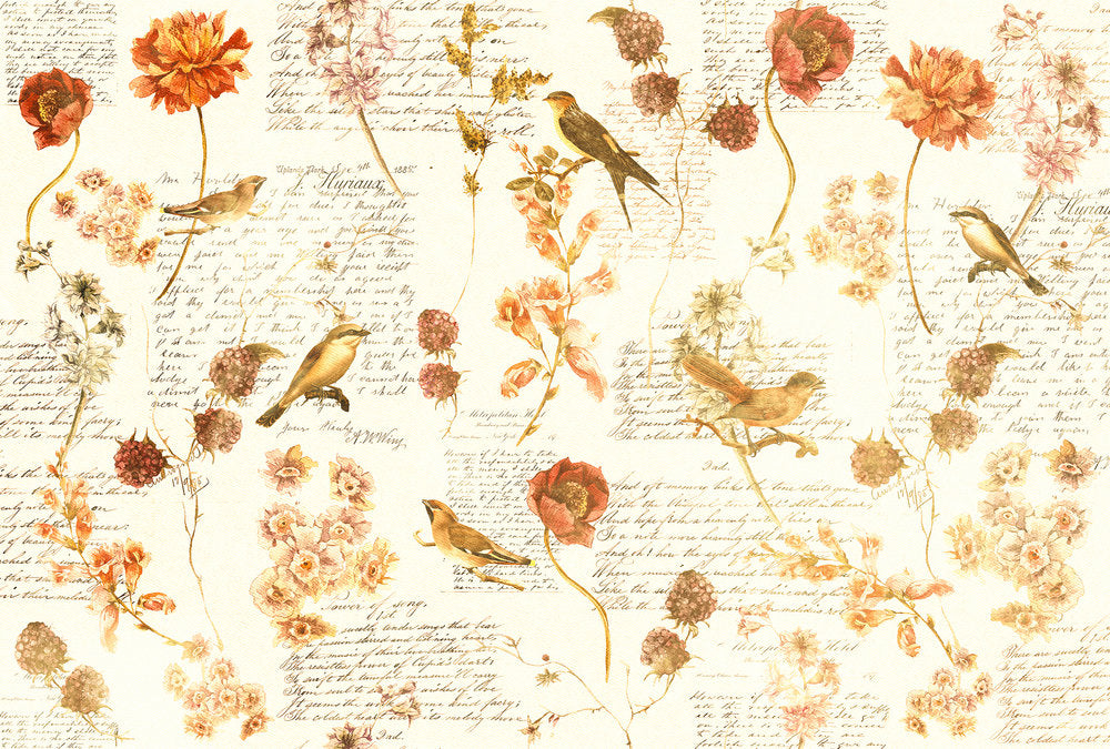 Atelier 47 - Bird Poesie digital print AS Creation Orange   118225