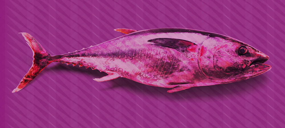 Atelier 47 - Tuna Graphic digital print AS Creation Pink   118260