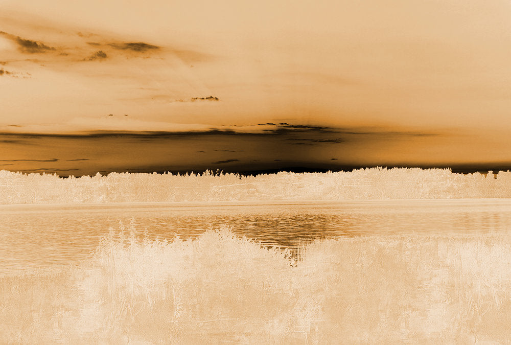 Atelier 47 - Landscape Artwork digital print AS Creation Brown   118430