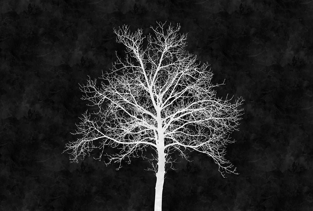 Walls By Patel - Blackboard digital print AS Creation Tree   110311