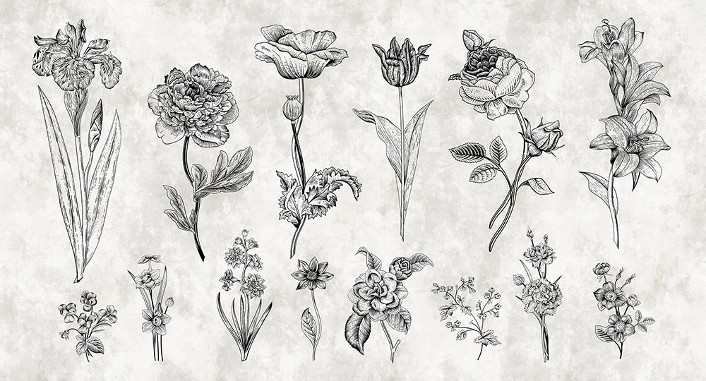Walls By Patel - Sketchpad digital print AS Creation Flowers   110356