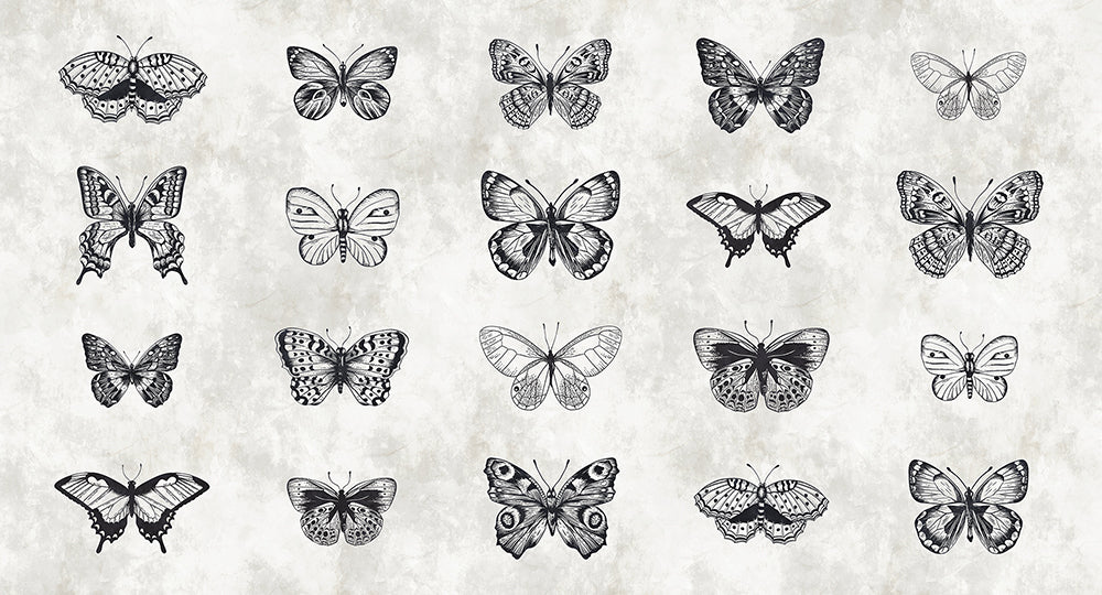 Walls By Patel - Sketchpad digital print AS Creation Butterflies   110361