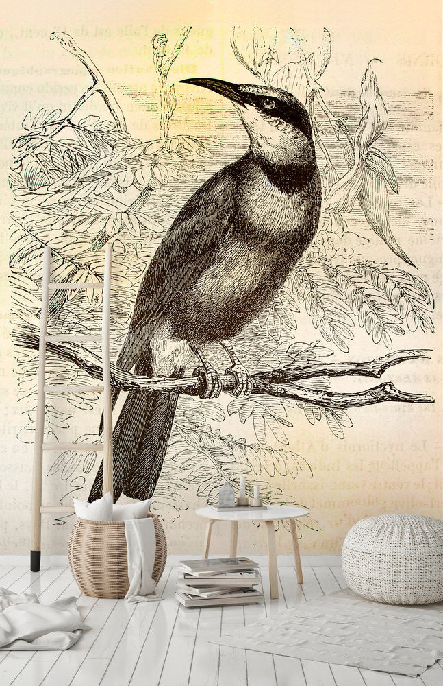 Walls By Patel - Vintage Birds digital print AS Creation    