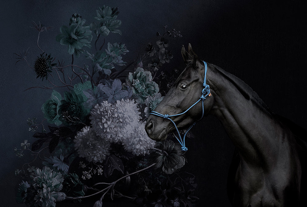 Walls By Patel - Horses digital print AS Creation Blue   110646