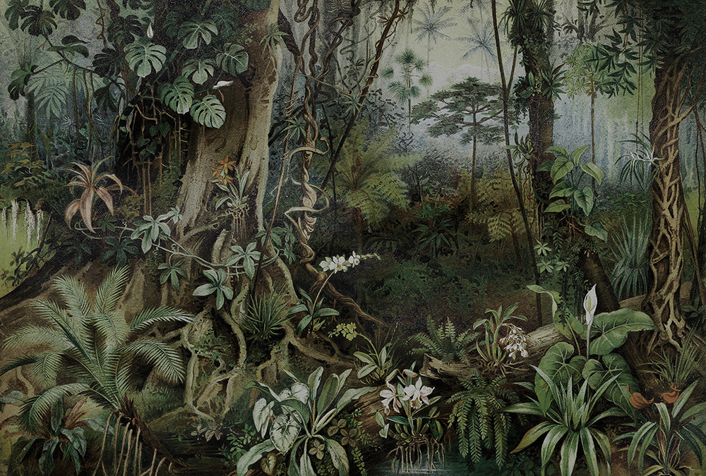 Walls By Patel - Jungle digital print AS Creation Green   110696