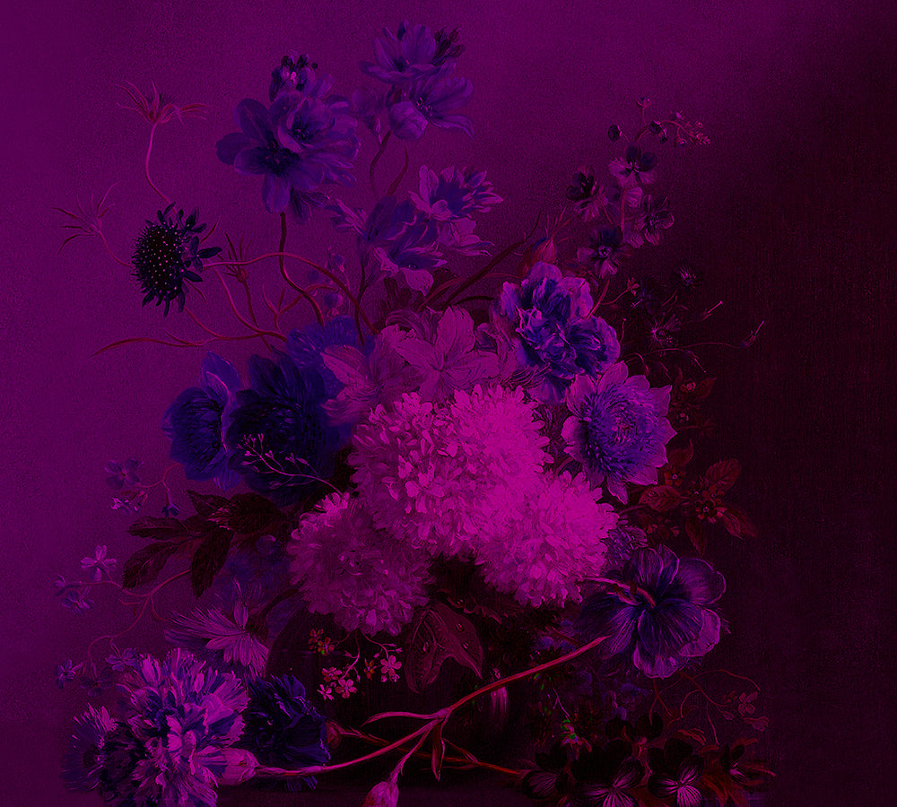 Walls By Patel - Bouquet Vibrant digital print AS Creation Purple   110711
