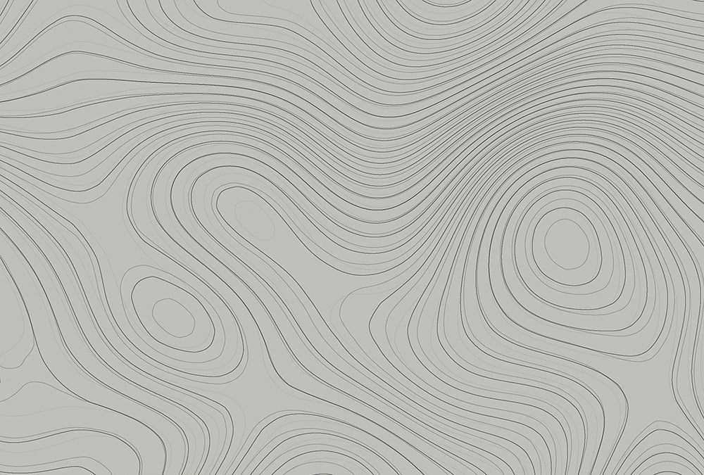 Walls By Patel - Zen Garden digital print AS Creation Grey   110851