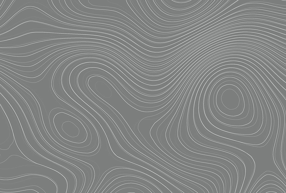 Walls By Patel - Zen Garden digital print AS Creation Black   110856