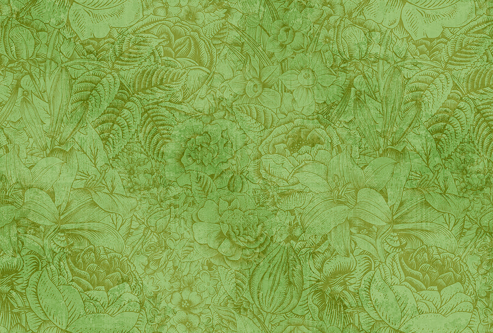 Walls By Patel - Botanica digital print AS Creation Green   111051