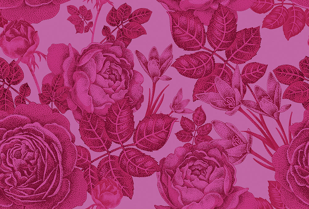 Walls By Patel - Baccara digital print AS Creation Pink   111151