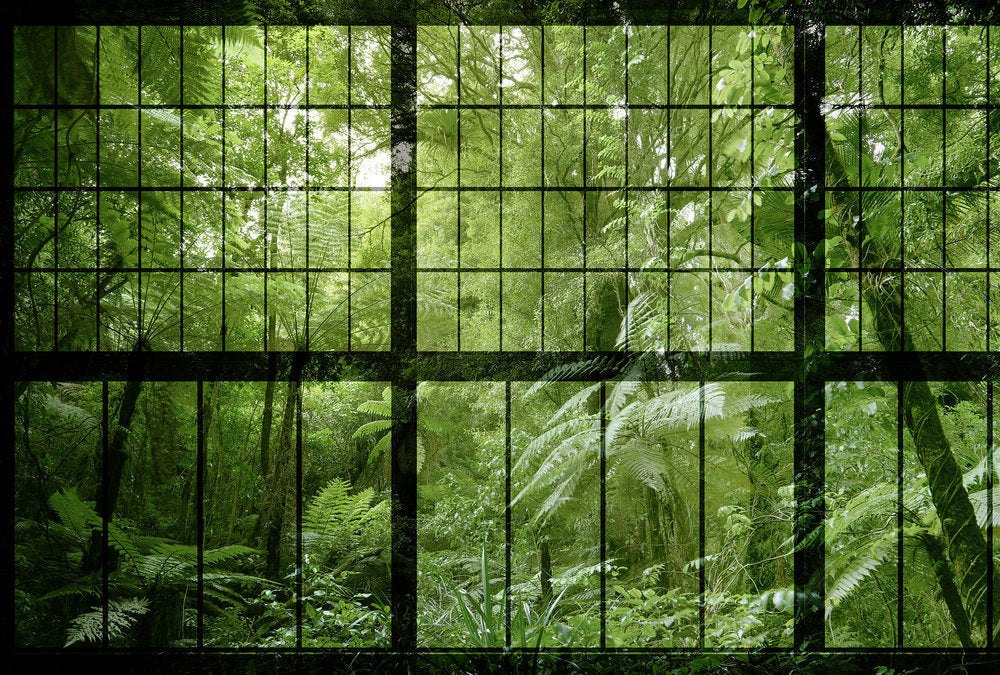 Walls by Patel 2 - Rainforest digital print AS Creation Rainforest 2   113742