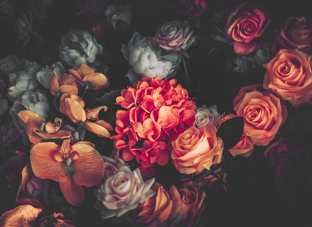 Design Walls - Romatic Flowers digital print AS Creation Red   118511