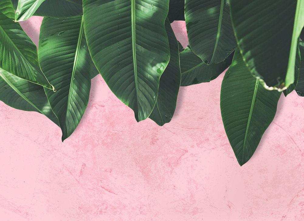 Design Walls - Leaves Wall digital print AS Creation Pink   118545