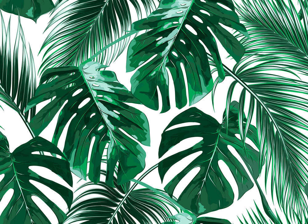 Design Walls - Palm Leaves digital print AS Creation Green   118573