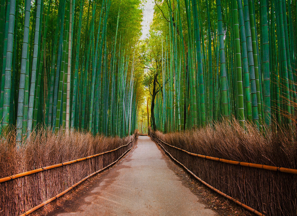 Design Walls - Bamboo Walk digital print AS Creation    