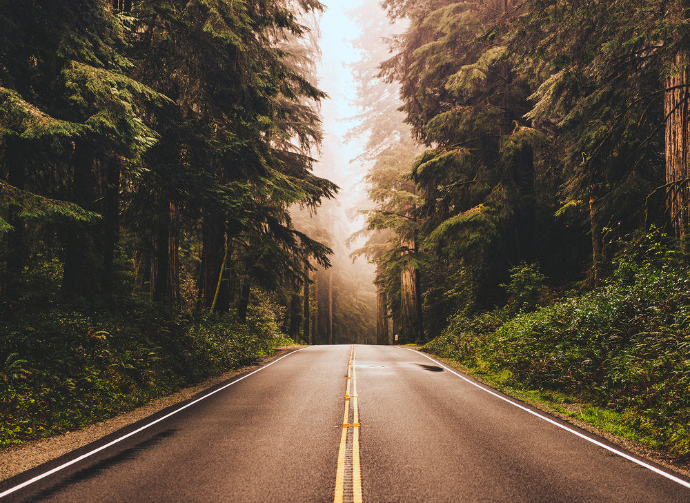 Design Walls - Road Trip digital print AS Creation    