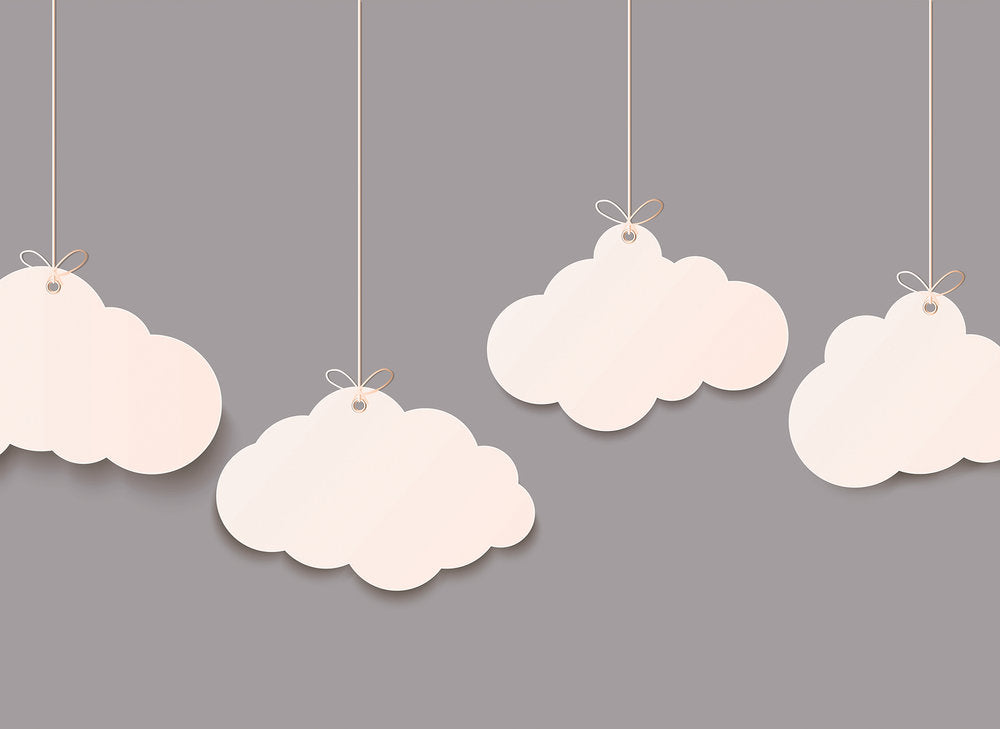 Design Walls - Clouds digital print AS Creation Grey   118643