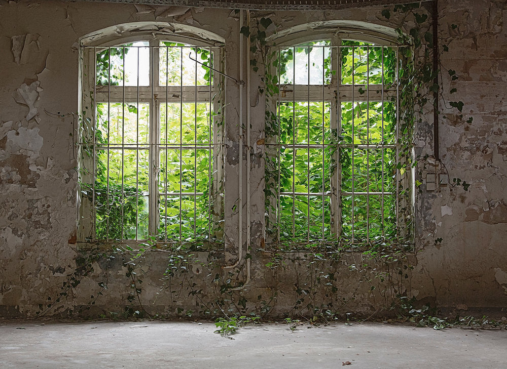 Design Walls - Old Window digital print AS Creation    