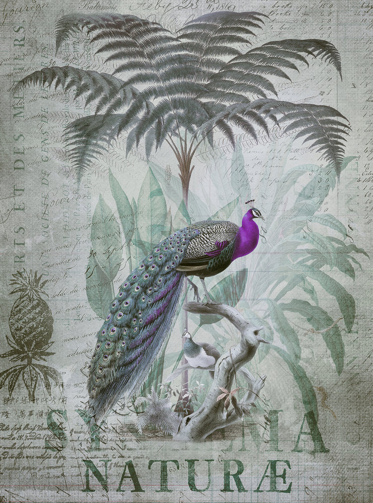 ARTist - Peacock Jungle digital print AS Creation Grey   119709