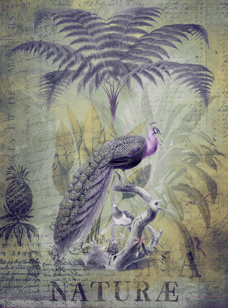 ARTist - Peacock Jungle digital print AS Creation Purple   119713