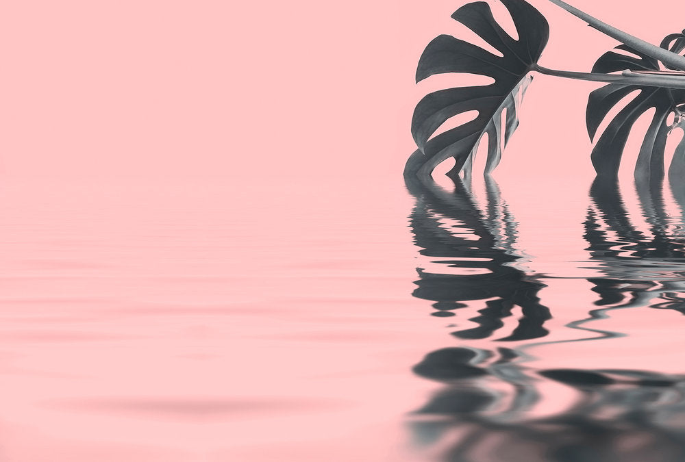 ARTist - Monstera Leaf Water 1 digital print AS Creation Pink   119781