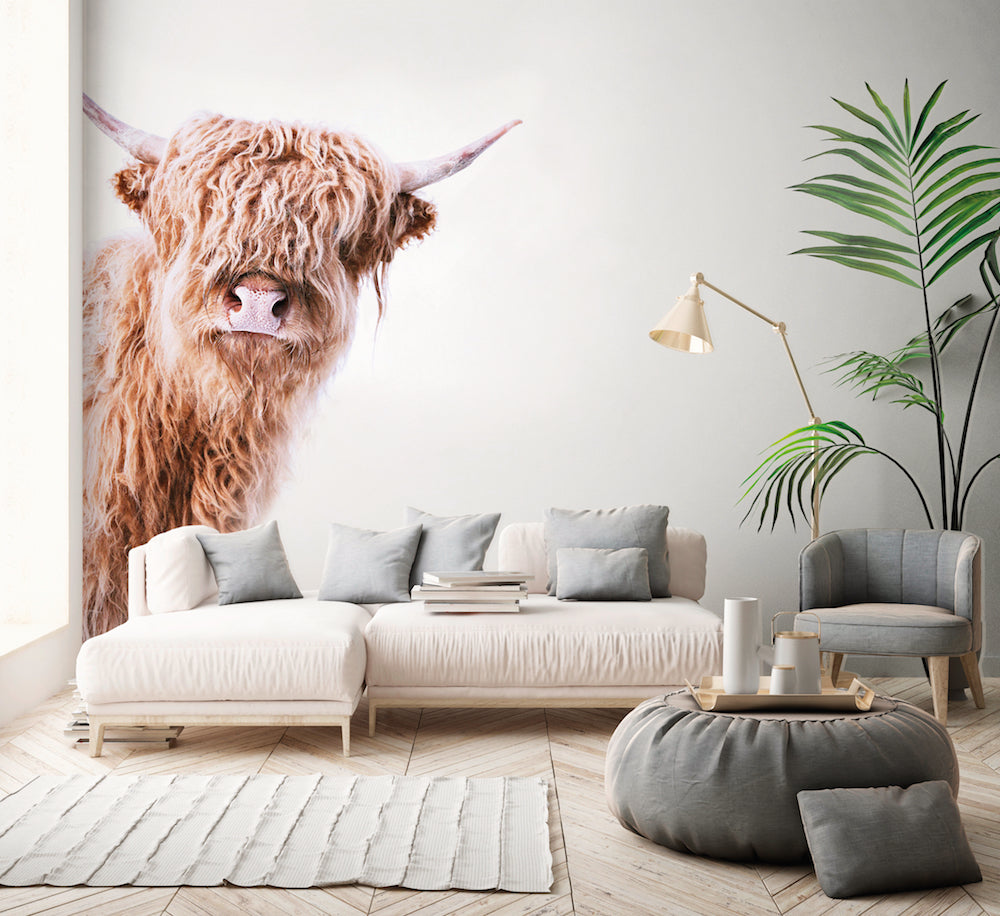 ARTist - Highland Cattle 2 digital print AS Creation    
