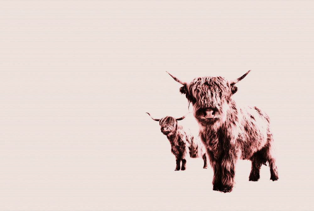 ARTist - Highland Cows digital print AS Creation Beige   119829